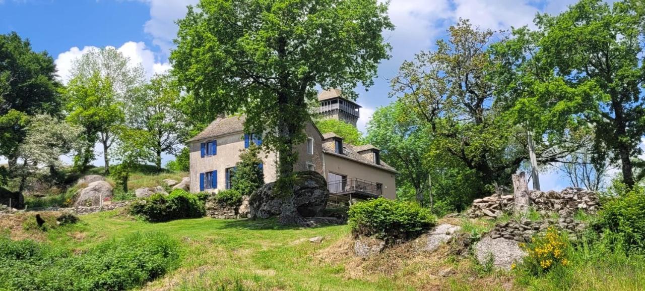 Gite A La Tour De Peyrebrune Villa Alrance Eksteriør billede